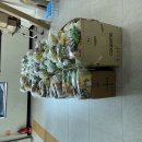 고덕성당 일치의 한마당 어린이들 과자꾸러미 포장 봉사 이미지