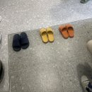 스파다미르 이미지