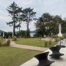 크로스핏 오송 이미지