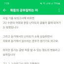 써니영어 - 종로구 종로 393-1 | 써니영어