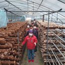 베데스다농장 이미지