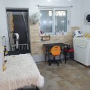 멍멍나래 이미지