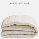 코코스프링