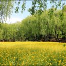 두류공원관리사무소 이미지