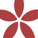 다이렉트 원두 이미지