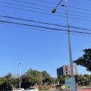 새아침해장국 - 의성군 도리원1길 54 | 새아침해장국