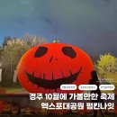 킹덤인호러 | [경상북도/경주]엑스포대공원 할로윈 축제 10월 가볼만한 곳 2025 EX-펌킨나잇 : 매직킹덤
