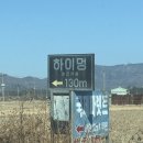 하이, 멍 | 부산 강서구 애견동반카페 애견운동장 대만족 넓은 잔디밭 '하이멍'