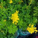 (주)드리고 이미지