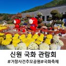 거창사건 추모공원 | 거창 신원 국화축제, 국화 관람회 거창사건추모공원