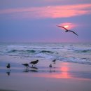 행복한 엄마반찬 이미지