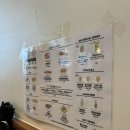 바오하우스 이미지