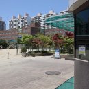 성곡초등학교2 이미지