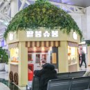 (주)드림필드코리아 이미지