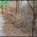 홍성읍 옥암3리마을회관 | [ 홍성읍, 경매 ] 홍성군 홍성읍 옥암리 347-1 경매매물