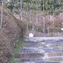 솔반식당(2)