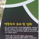 거제 맹종죽 테마파크 이미지