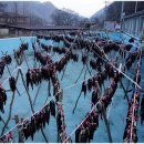 상산유통 이미지