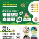 썸퓨전노래 이미지