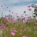 키움행정사 이미지