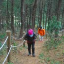 제주하도바당 이미지