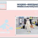 효성태권도스쿨 이미지