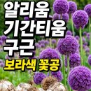 고양대로1432번길 네이버블로그