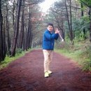 숲속 당구 이미지