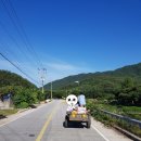 월성민박 이미지