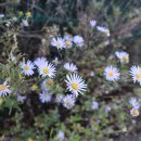 왕곡별천지 펜션 이미지