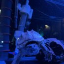 몰트라운지 이미지