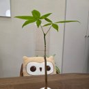 조은동탄우리 | 동탄청소년상담센터 [조은하루 심리상담센터] 아이 위한 상담 받은 후기