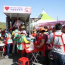 보성녹차사랑 이미지