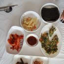 산호초밥 이미지