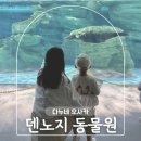 오사카 아이랑 가볼만한곳 덴노지 동물원 주유패스 무료입장 후기