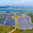 숲 태양광발전소 이미지