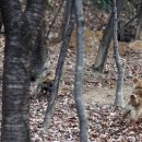 해솔농장 이미지
