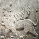 키메라 (Chimera) 이미지