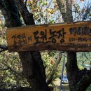 보천농장 이미지