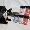 바다고양이식탁 | 고양이,강아지 트릿 바다고양이식탁 내돈내산 급여 후기