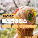 배라 맛 추천! 상큼달콤 딸바 조합의 끝판왕 배스킨라빈스 '봄날의 곰을 좋아하세요?' 솔직 후기