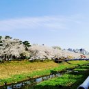 볼래로 문화거리 이미지