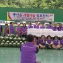 풍산읍 체육공원 이미지