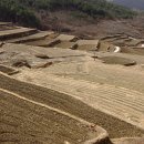 우리들주유소 화장실 이미지