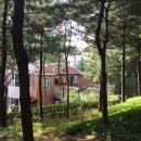 용산도서관 이미지
