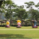 무안꽃낚시 | 무안연꽃축제 후기, 기대 없이 갔다가 만족했던 전남여름축제
