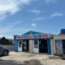 월정숲 | 2박3일 2, 3일차 일정 : 부모님 대만족 코스 추천(함덕해변, 야장횟집, 월정투명카약, 신흥늦장, 동문시장)