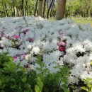 가좌근린공원 이미지