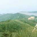 그래거기 이미지