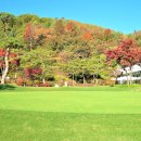 근영농산(주)양주컨트리클럽 이미지